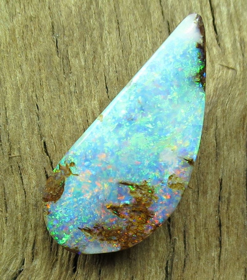 Opale de bois fossilisé