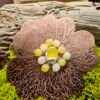 Barrette "Ardente Ciste" en argennt et cuivre avec cabochon de calcédoine jaune, entourée de perles de calcédoine jaune et blanche de Perse, inspirée par la fleur de ciste méditerranéenne, fait-main en France, bijoux hypoallergéniques, éthiques