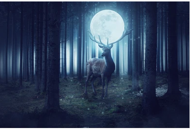 Pleine lune du cerf