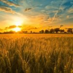 Sabbat de Lughnasadh