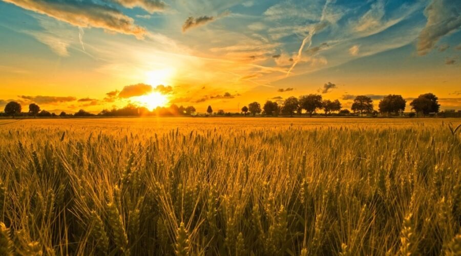 Sabbat de Lughnasadh