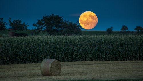Lune des moissons, champ prêt à être cultivé sous la pleine lune