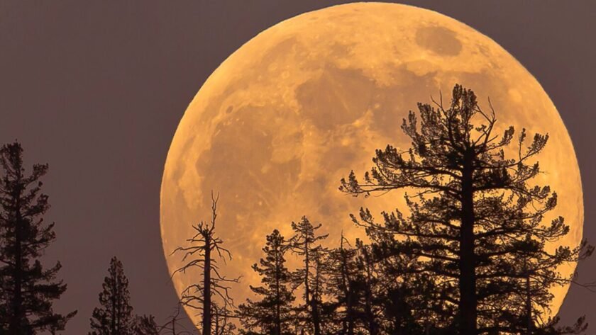 Pleine lune de sang/esbat pleine lune d'octobre 2024
