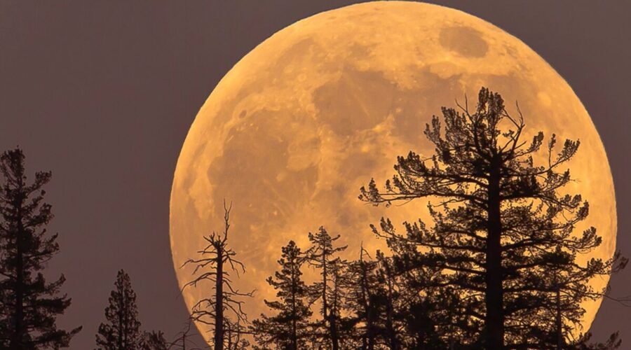 Pleine lune de sang/esbat pleine lune d'octobre 2024