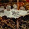 Détail du nœud de Bowen gravé sur le pendentif 'Le Cœur de Samhain
