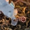 Détail du fil de cuivre sur le pendentif 'Le Cœur de Samhain