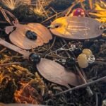 Vue d'ensemble de présentation de la collection éphémère d'automne 2024 "Les symboles de Samhain"