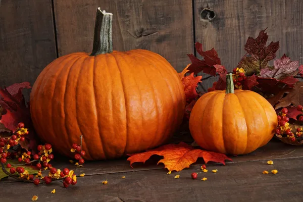 Citrouilles et feuilles aux couleurs modorées automnales