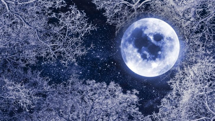 Lune des neiges chez Le Chêne Enchanté.