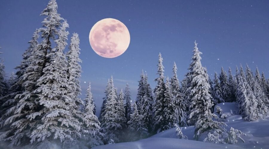 Lune des neiges, esbat du mois de novembre, paysage enneigé-article chez Le Chêne Enchanté