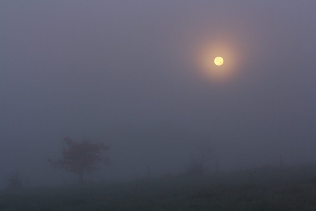 Lune pleine nommée "lune des brouillards" dans un paysage hivernal brumeux chez Le Chêne Enchanté