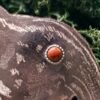 Gros plan sur la Jaspe rouge sertie argent sur le pendentif "taisson persévérant", inspiré des légendes celtes,fait main en France en argent et cuivre éthiques, hypoallergénique sur de la mousse végétale naturelle.