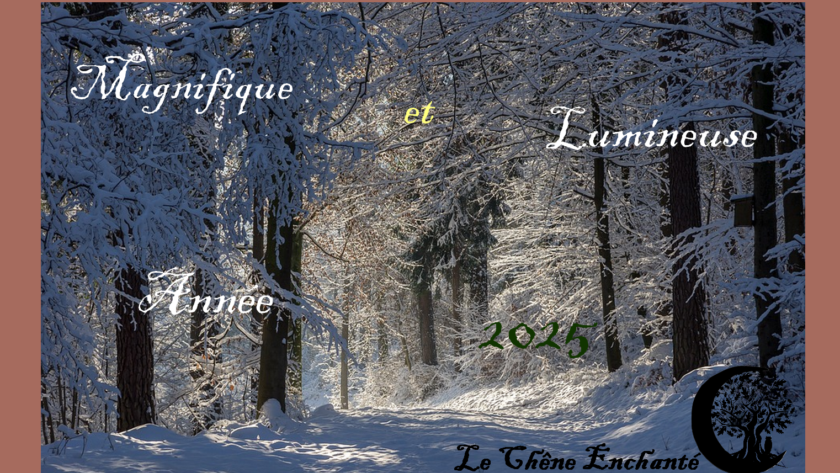 Magnifique et lumineuse année 2025 chez Le Chêne Enchanté sur une forêt enneigée laissant transparaître les rayons du soleil à travers les feuillages des pins et sapins.