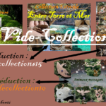 Premier "Vide-collections" de chez Le Chêne Enchanté où quatre collections sont en promotions