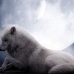 Esbat lune du loup, un grand loup blanc est allongé devant la lune pleine lumineuse de janvier. Couverture de l'article de l'esbat du loup chez Le Chêne Enchanté.