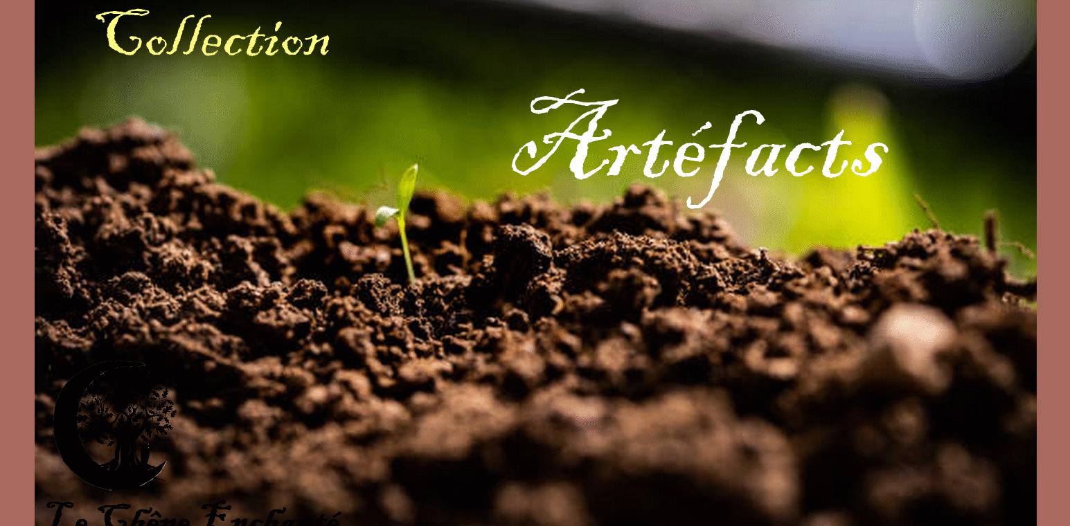 Collection "Artéfacts" chez Le Chêne Enchanté.