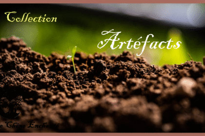 Collection "Artéfacts" chez Le Chêne Enchanté.