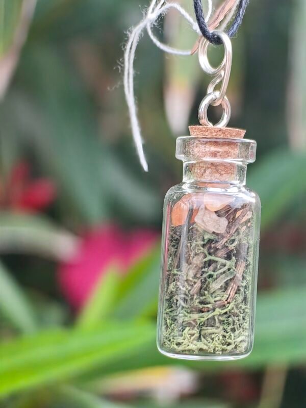Pendentif fiole "Talisman des fées" cornaline et mousse végétale naturelle monté sur argent – Image 2
