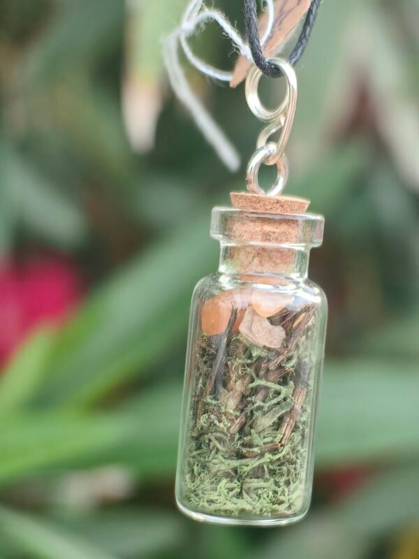 Pendentif fiole "Talisman des fées" cornaline et mousse végétale naturelle monté sur argent – Image 3