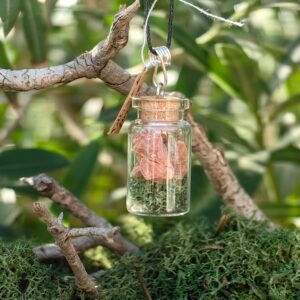 Pendentif fiole Talisman des fées, argent, calcite orange, mousse végétale naturelle, liège de chêne, collection Artéfacts chez Le Chêne Enchanté. Le pendentif est suspendu sur une branche de chêne entouré de mousse naturelle végétal de mon jardin. Vu d'ensemble du pendentif. Ce pendentif est un fragment de soleil, une boussole pour se repérer comme les anciens Nordiques (Vikings) lorsque l'on se sent perdu(e), la mémoire de la Terre. Tous les bijoux et photographies appartiennent exclusivement à : Le Chêne Enchanté. Toute reproduction est strictement interdite.